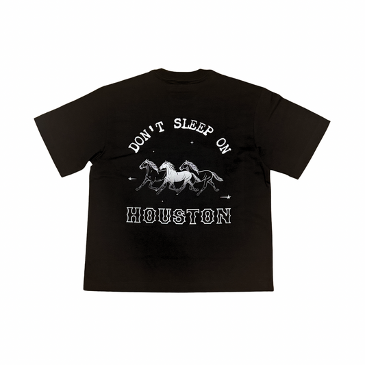 Unisex Classic Tee_Houston + Gradient Horses